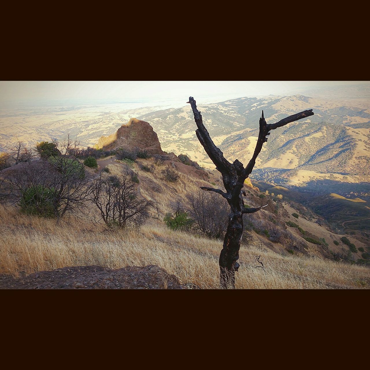 Mt. Diablo Summit