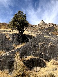 Scenic view of rocky shore against sky