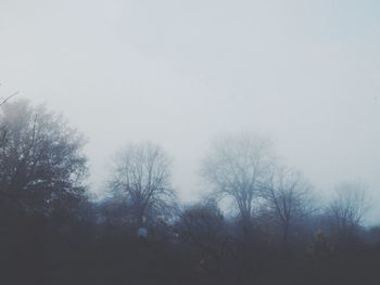 Low angle view of bare trees against sky