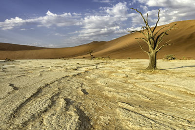 Scenic view of desert against sky