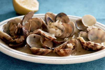 Close-up of shells in plate