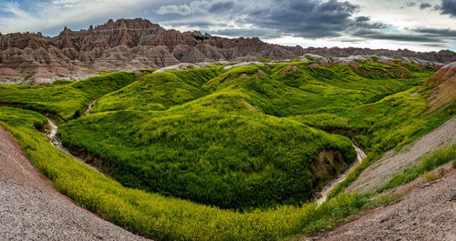 Scenic view of green landscape against sky