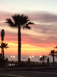 Silhouette of palm trees at sunset