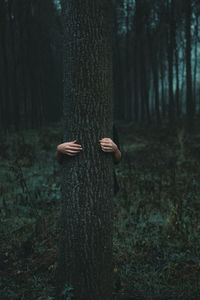 Person wearing mask on tree trunk in forest