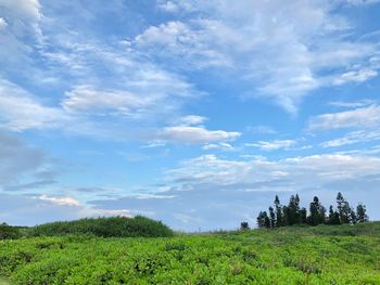 Scenic view of land against sky