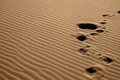 High angle view of footprints on sand