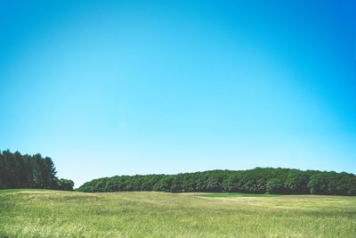 Scenic view of grassy field against blue sky