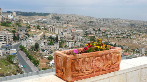 Flowers on retaining wall by cityscape against sky