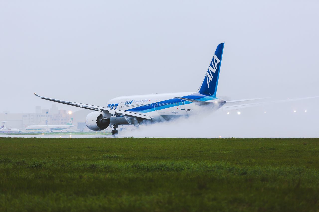 air vehicle, airplane, mode of transportation, sky, transportation, grass, motion, clear sky, nature, field, travel, land, on the move, airport runway, airport, day, no people, flying, environment, outdoors, plane, aerospace industry