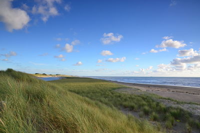 Scenic view of beach against sky