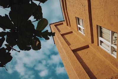 Low angle view of tree and building against sky