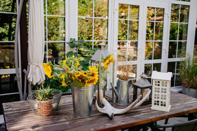 Potted plants on table by window