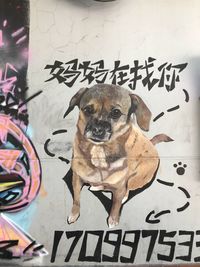 Portrait of dog with text