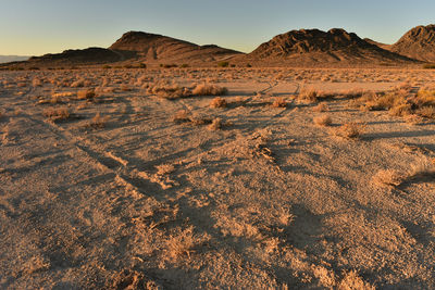 Scenic view of desert against clear sky