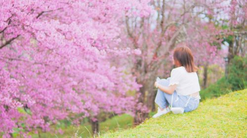 Woman standing by purple flowering plants on field