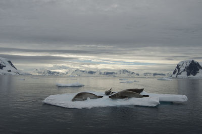 Scenic view of sea and snowcapped mountains during winter