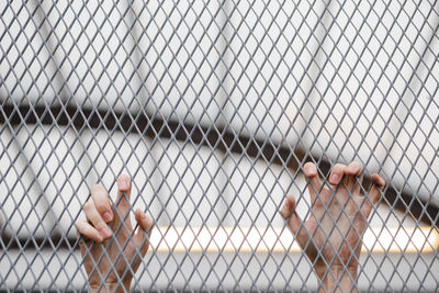 Side view of a young man looking through chainlink fence