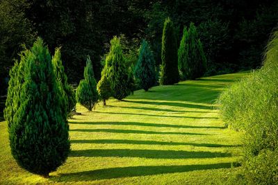 Tuscany in styria