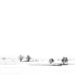 Scenic view of snow covered field