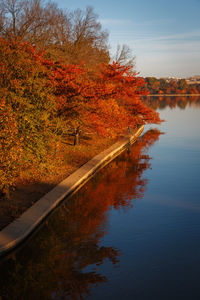 Trees by lake against sky during autumn