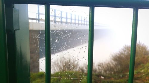 Close-up of water drops on spiderweb