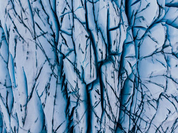 Full frame shot of bare tree during winter