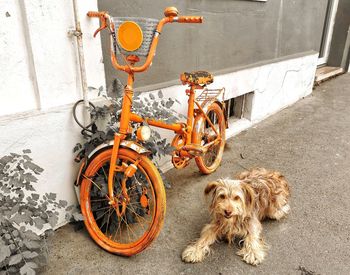 Bicycle parked on wall