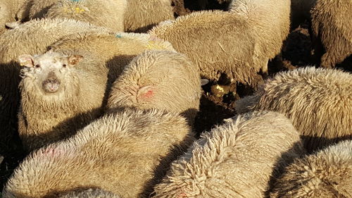 Full frame shot of white background