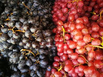 Full frame shot of fruits for sale at market stall