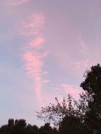 Low angle view of silhouette trees against sky at sunset