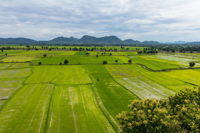 Scenic view of agricultural field against sky