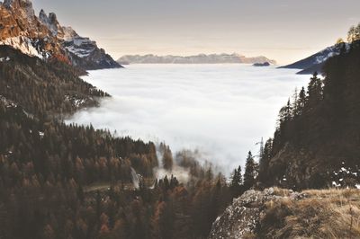 Aerial view of trees and clouds against sky