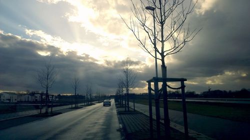 Bare trees against cloudy sky