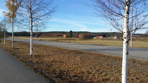 Road by bare trees against sky