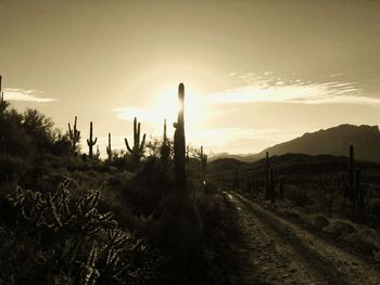 Road passing through landscape