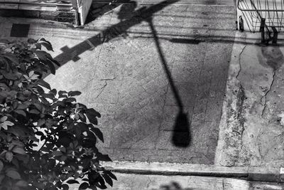 Woman standing in pond