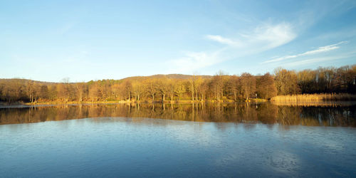 Scenic view of lake in forest against sky