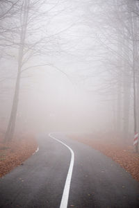 Road amidst bare trees in foggy weather