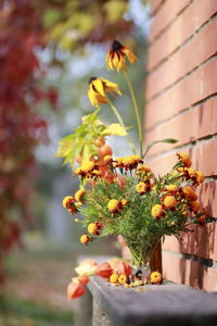 Close-up of bee on flowering plant