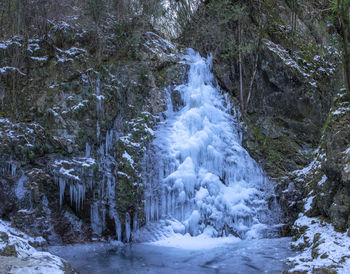 View of waterfall in forest