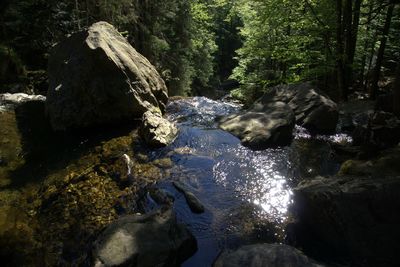 Stream flowing through rocks in forest