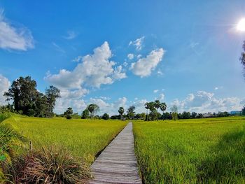 Scenic view of agricultural field against sky