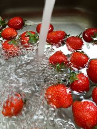 Close-up of red berries