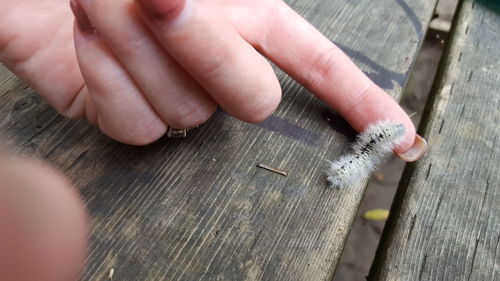 Close-up of hand on table