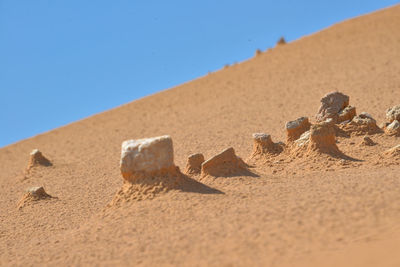 Close-up of sand dune on beach against clear blue sky