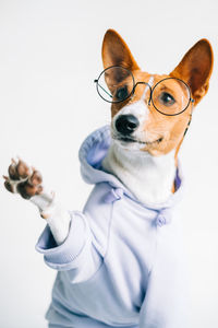 Portrait of young man with dog against white background