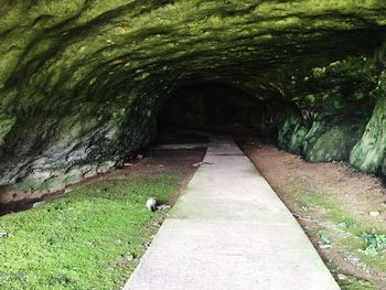 Footpath amidst green grass