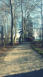 Road passing through trees