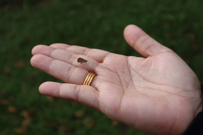 hand