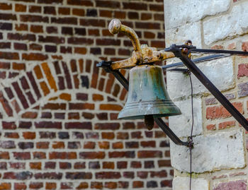 Close-up of lizard on brick wall